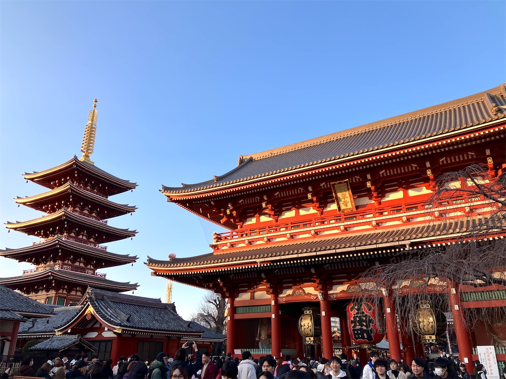 f:id:entsunagi705:20250126055724j:image f:id:entsunagi705:20250126055724j:image