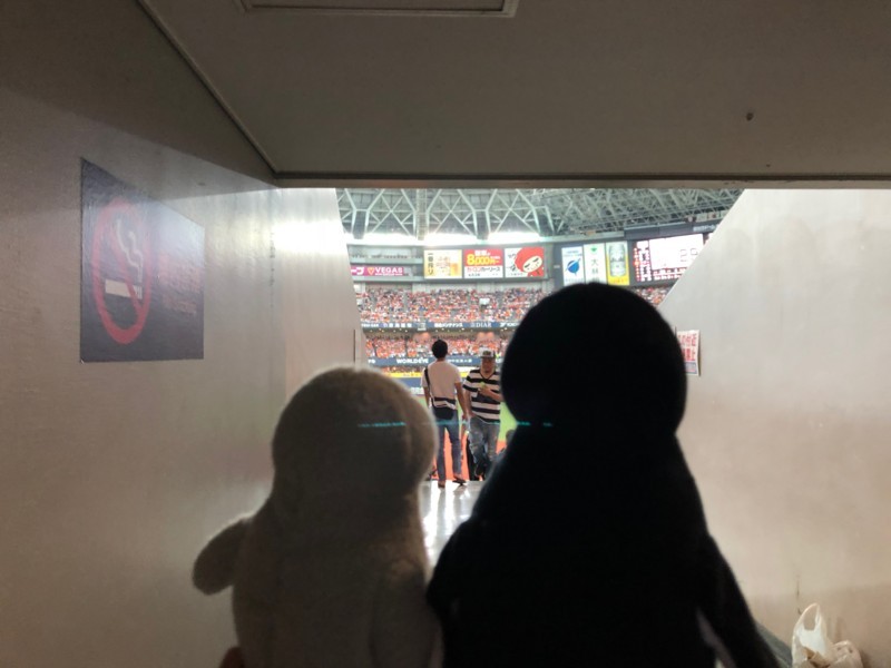 f:id:eo64air:20180603145448j:plain