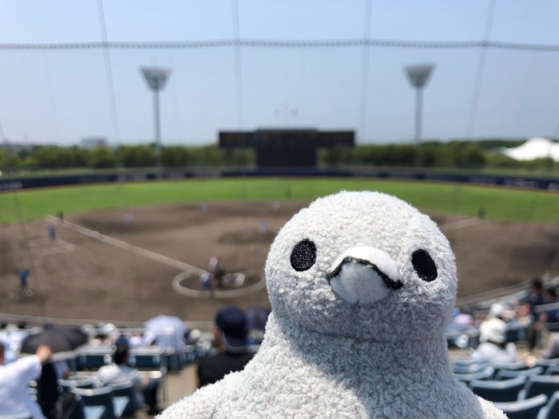 f:id:eo64air:20180609113535j:plain f:id:eo64air:20180609113535j:plain