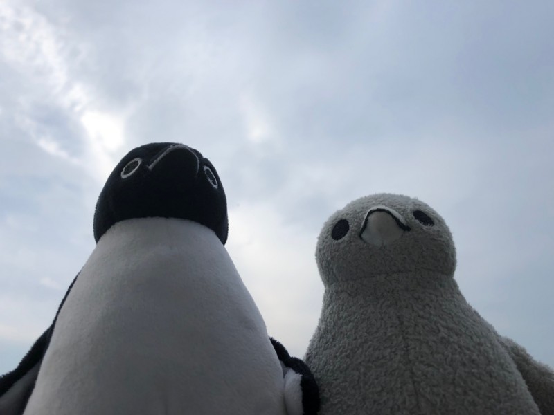 f:id:eo64air:20180627182124j:plain
