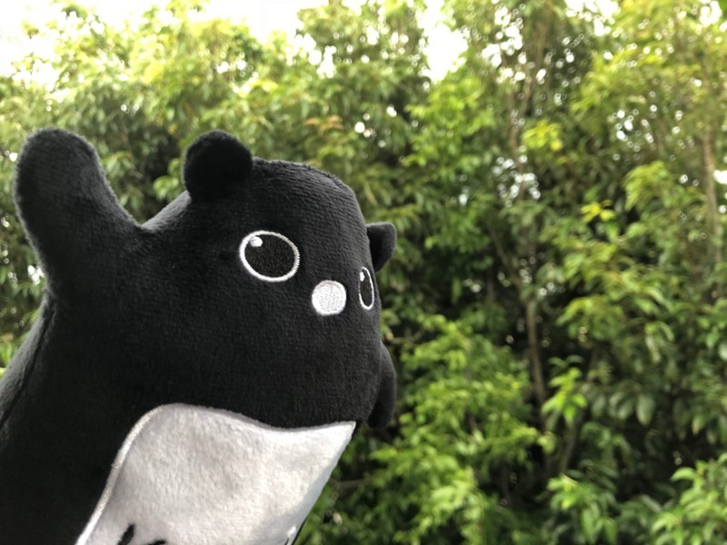 f:id:eo64air:20180627182240j:plain
