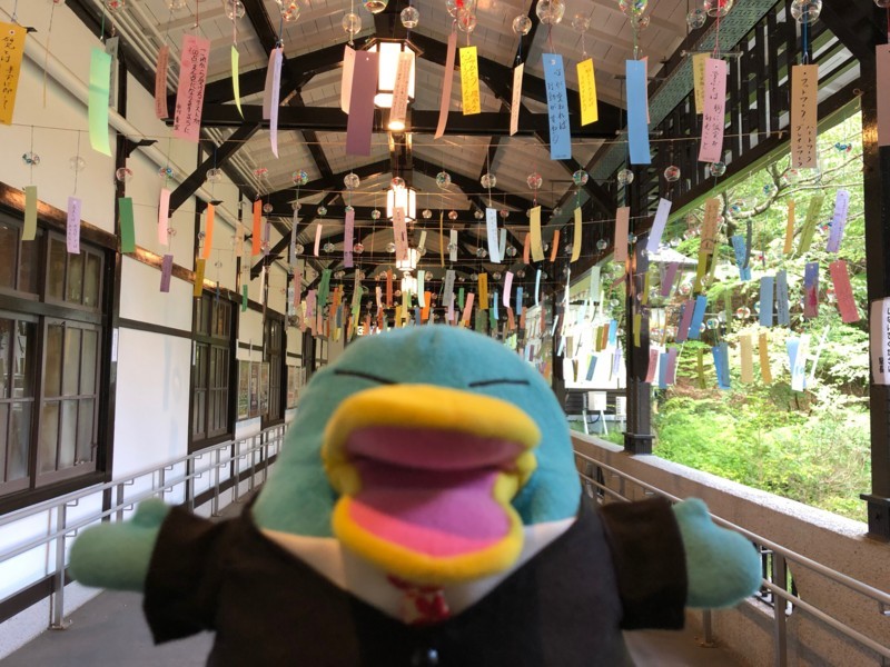 f:id:eo64air:20180701090611j:plain