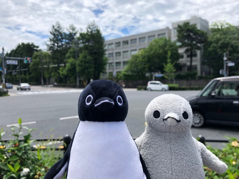f:id:eo64air:20180708110007j:plain