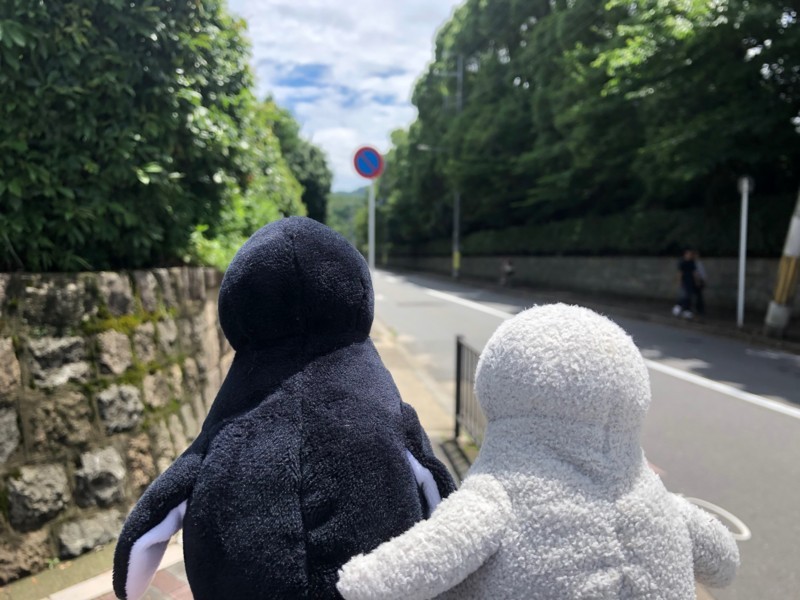 f:id:eo64air:20180708110647j:plain