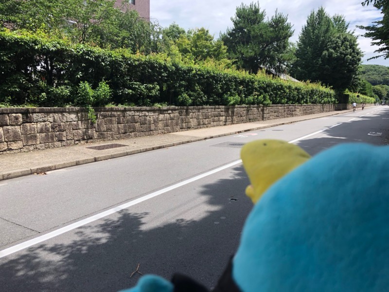 f:id:eo64air:20180708110803j:plain