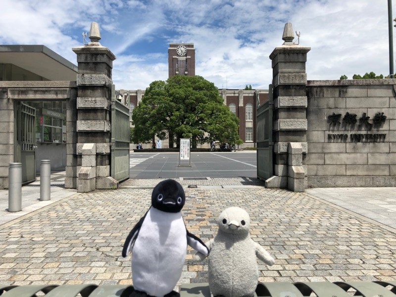f:id:eo64air:20180708111331j:plain
