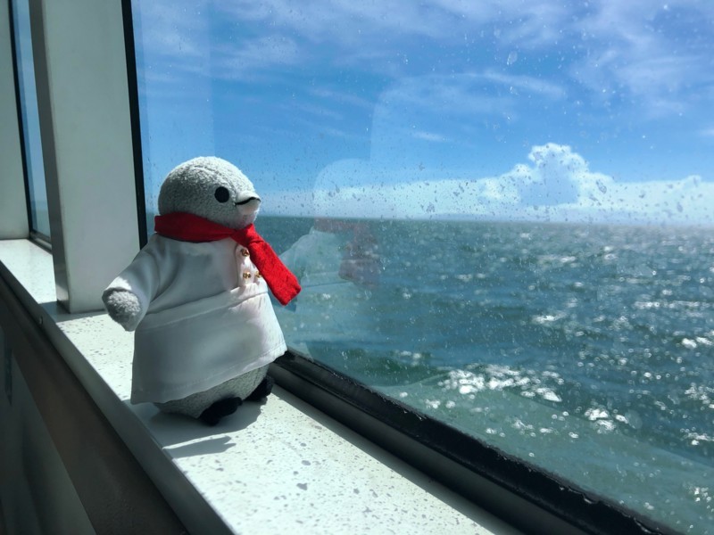 f:id:eo64air:20180722141446j:plain