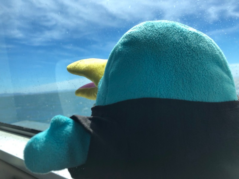 f:id:eo64air:20180722142453j:plain