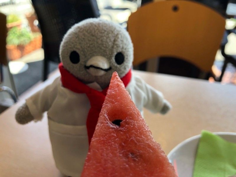 f:id:eo64air:20180818125308j:plain