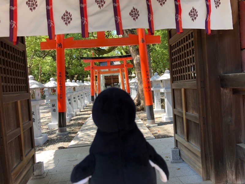 f:id:eo64air:20180818131900j:plain