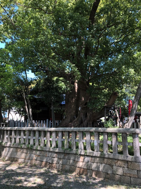f:id:eo64air:20180818132406j:plain