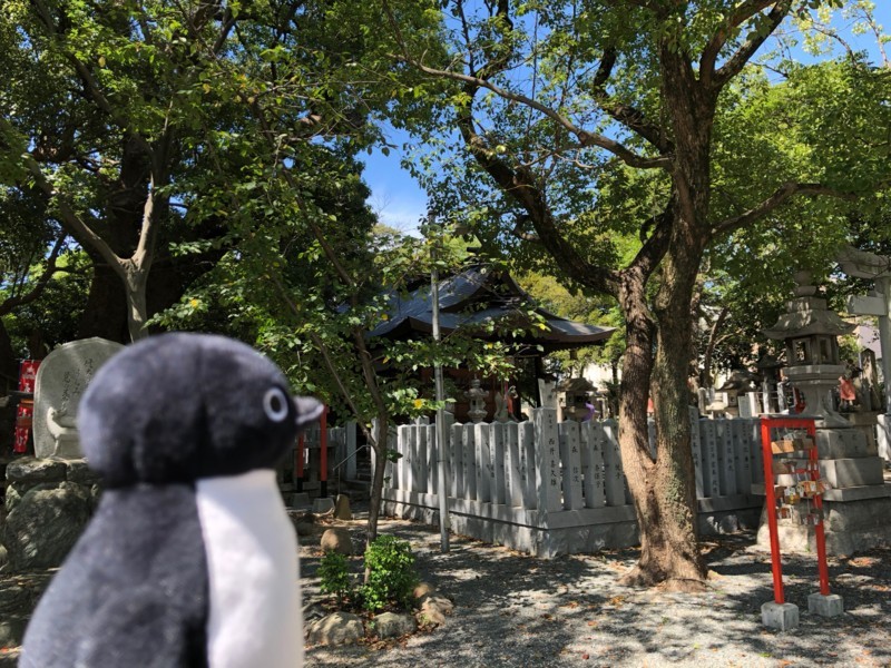 f:id:eo64air:20180818132620j:plain