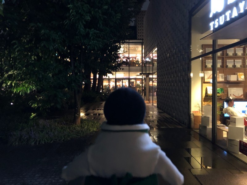 f:id:eo64air:20180925205726j:plain