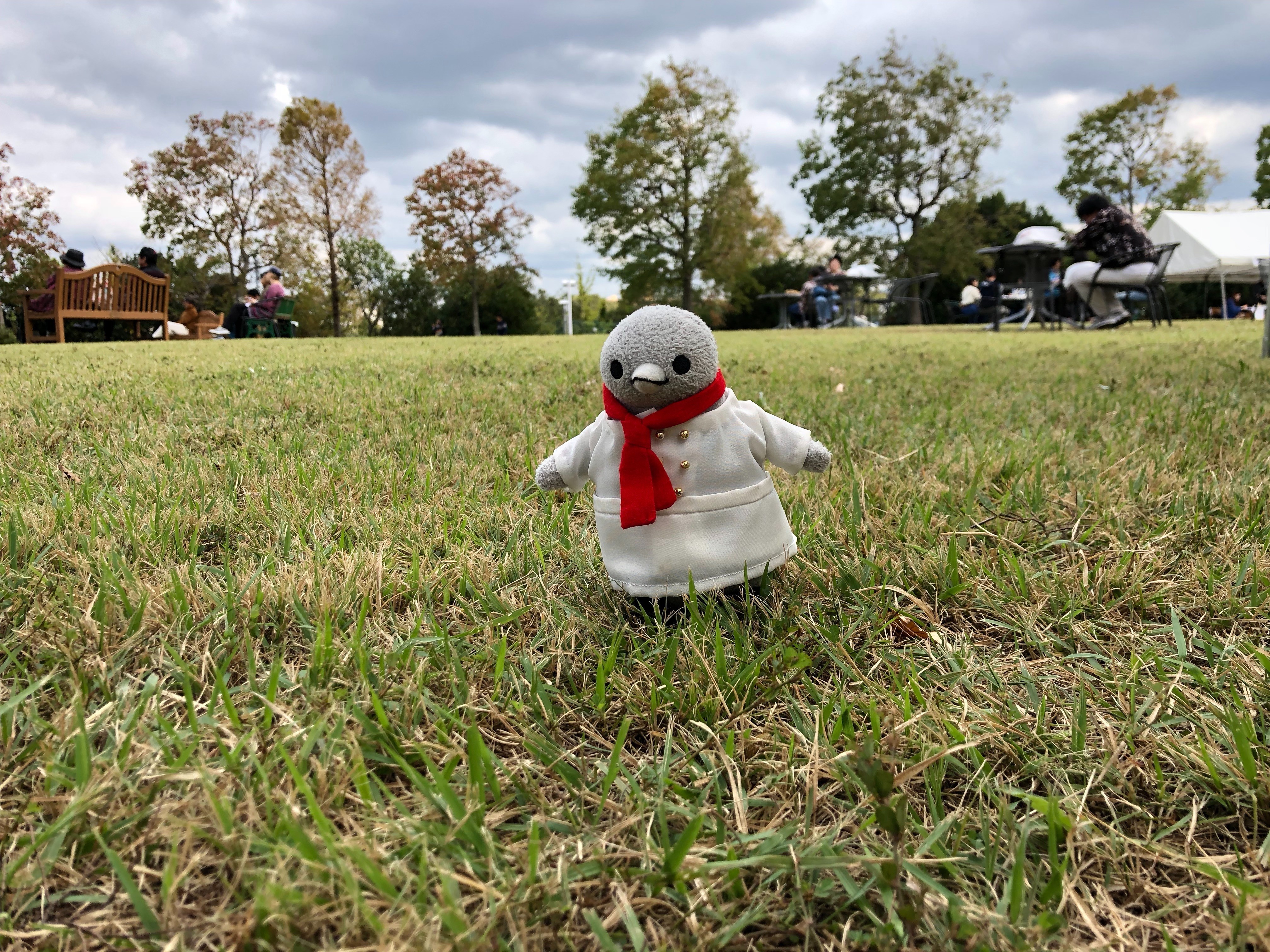 f:id:eo64air:20181029085913j:plain