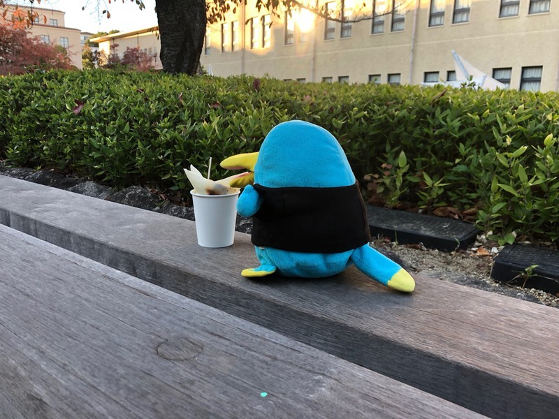 f:id:eo64air:20181103160349j:plain