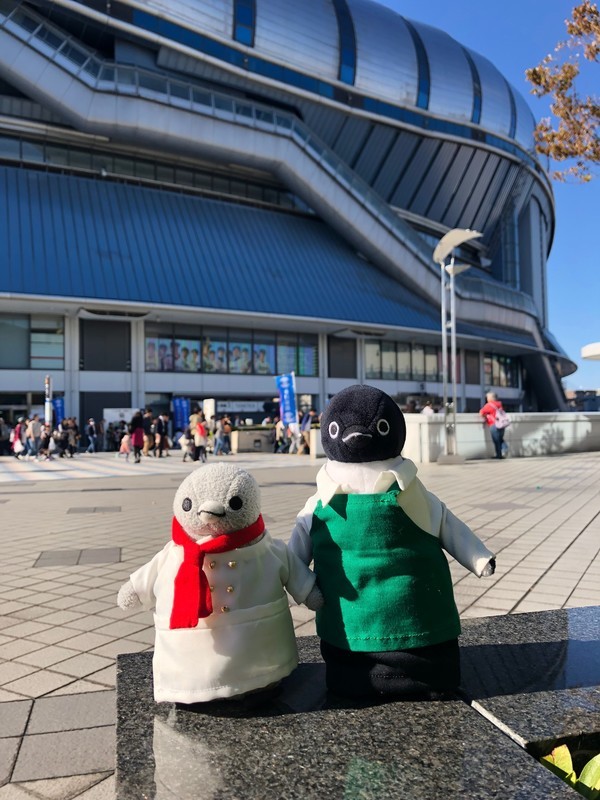 f:id:eo64air:20181110134146j:plain