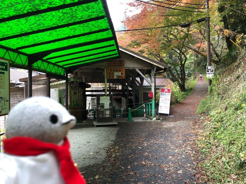 f:id:eo64air:20181113110413j:plain