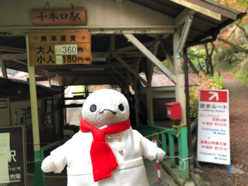 f:id:eo64air:20181113110443j:plain