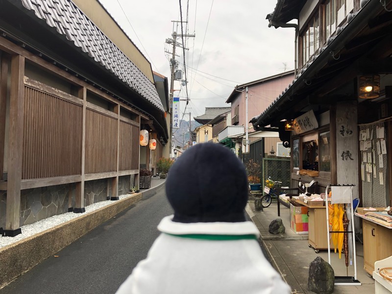 f:id:eo64air:20181113112135j:plain