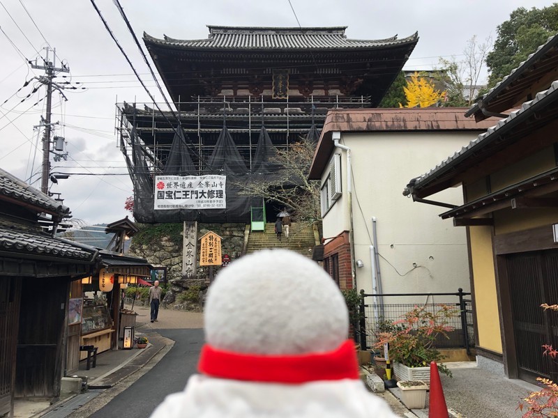 f:id:eo64air:20181113112417j:plain