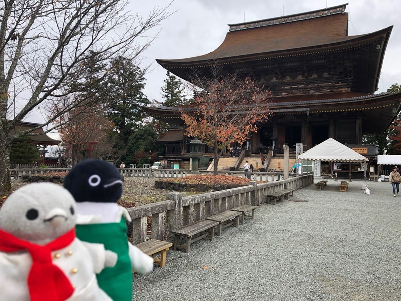 f:id:eo64air:20181113113003j:plain