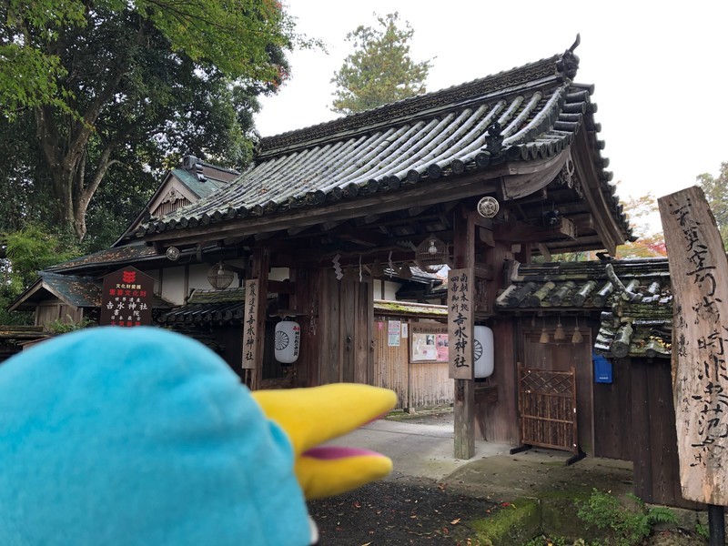 f:id:eo64air:20181113121212j:plain