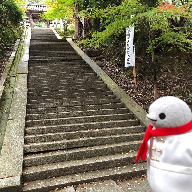 f:id:eo64air:20181113132644j:plain
