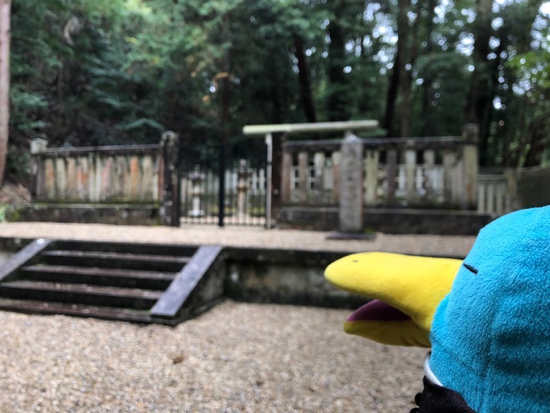f:id:eo64air:20181113133730j:plain