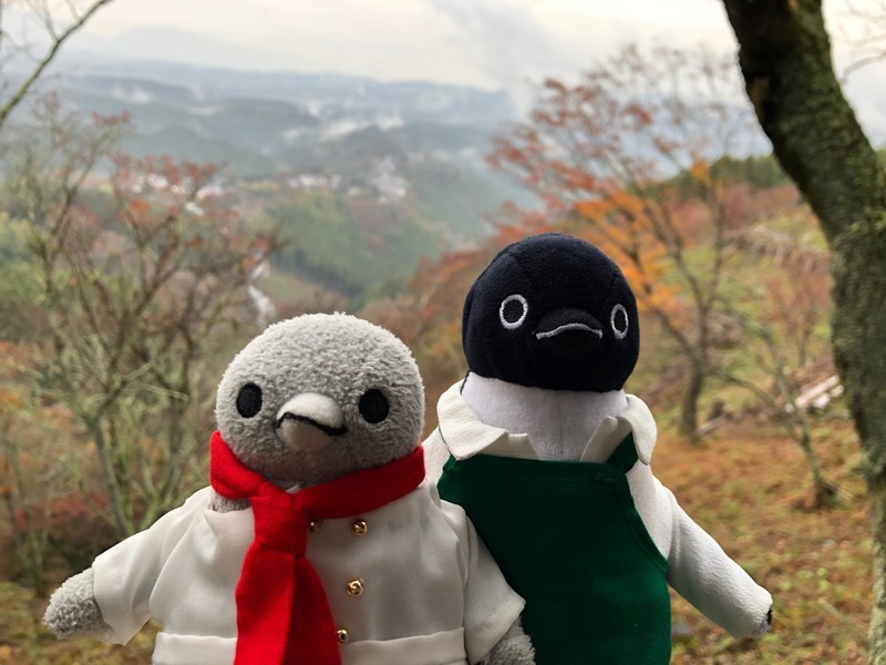 f:id:eo64air:20181113143258j:plain