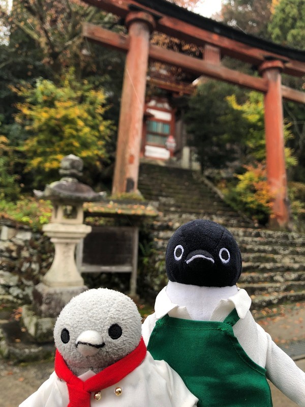 f:id:eo64air:20181113143926j:plain