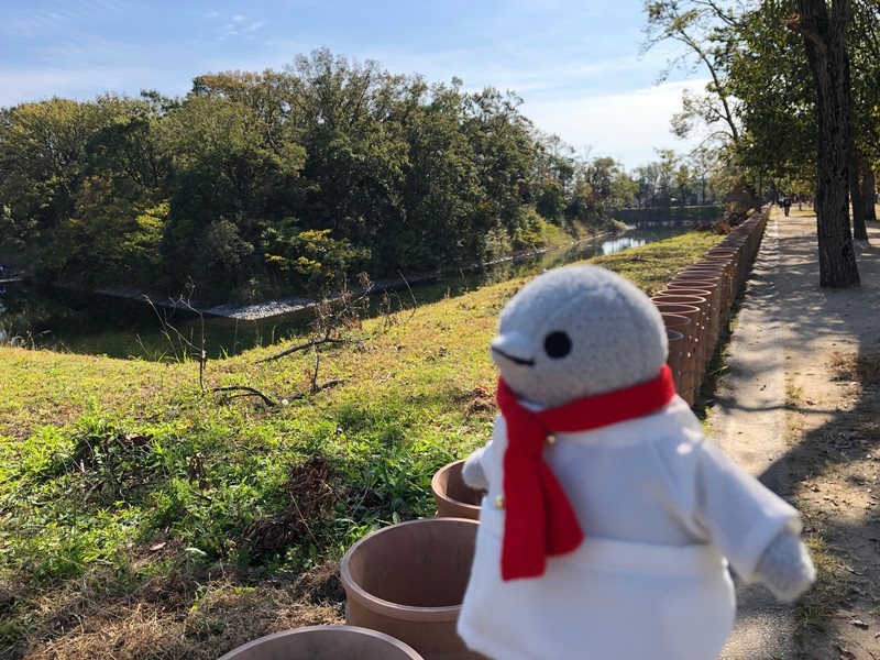 f:id:eo64air:20181118124327j:plain