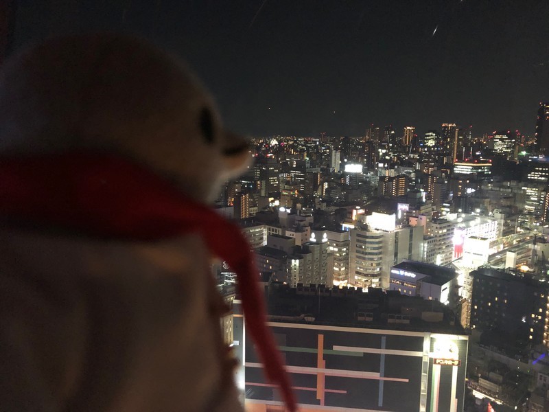f:id:eo64air:20181120202654j:plain