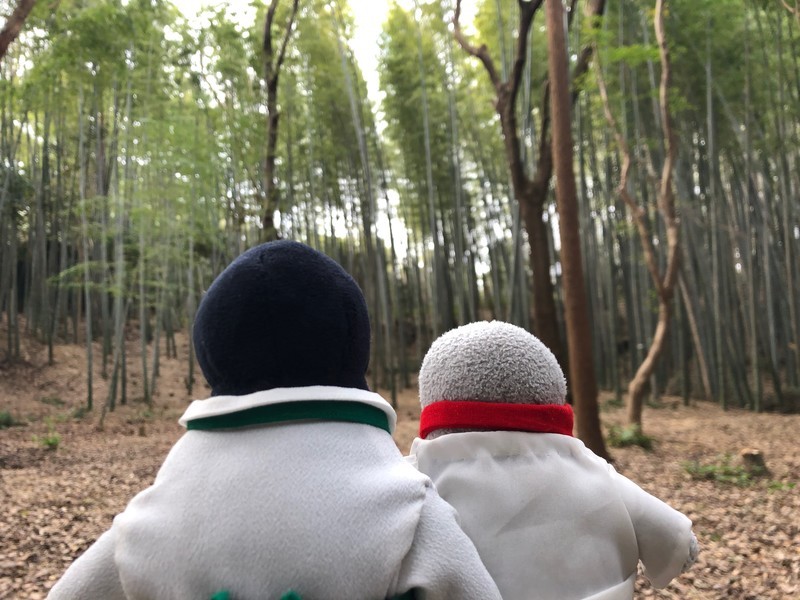 f:id:eo64air:20181124095418j:plain