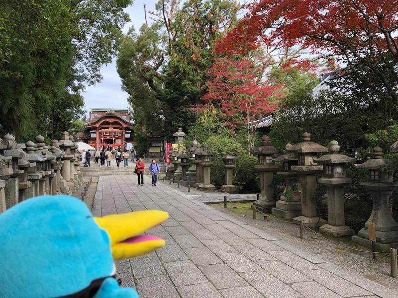 f:id:eo64air:20181124101630j:plain