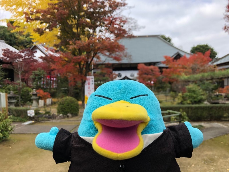 f:id:eo64air:20181124114057j:plain