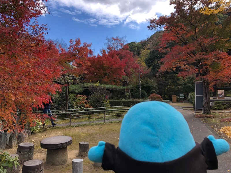 f:id:eo64air:20181124114502j:plain