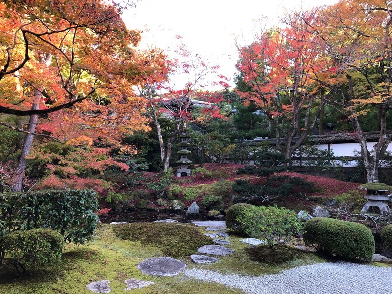 f:id:eo64air:20181124144012j:plain