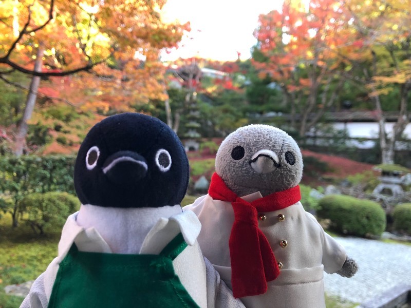 f:id:eo64air:20181124144134j:plain