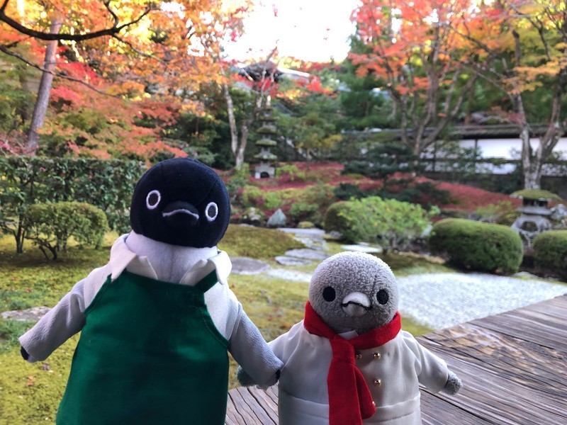 f:id:eo64air:20181124144147j:plain