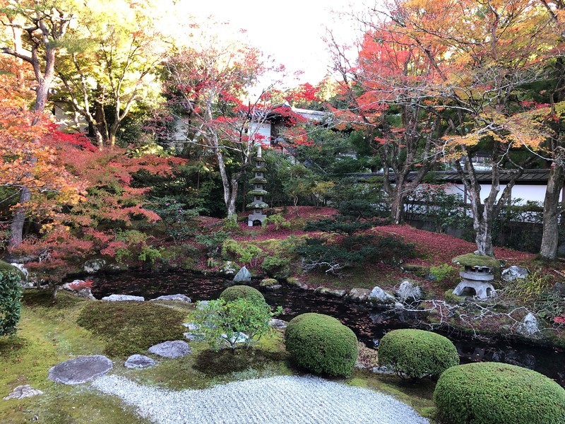 f:id:eo64air:20181124144348j:plain