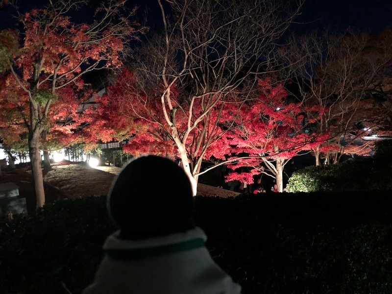 f:id:eo64air:20181124200730j:plain f:id:eo64air:20181124200730j:plain