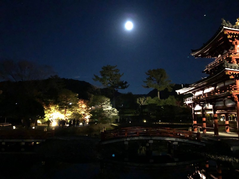 f:id:eo64air:20181124201330j:plain f:id:eo64air:20181124201330j:plain