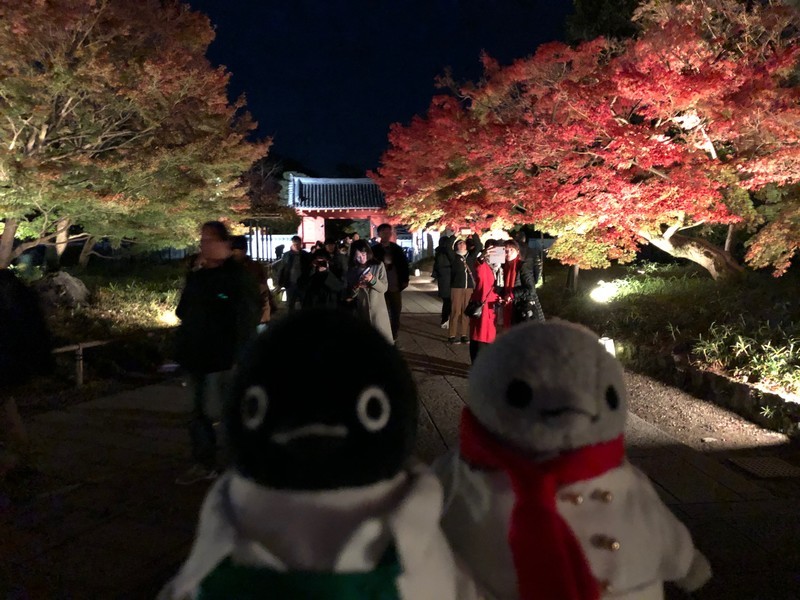 f:id:eo64air:20181124202836j:plain f:id:eo64air:20181124202836j:plain