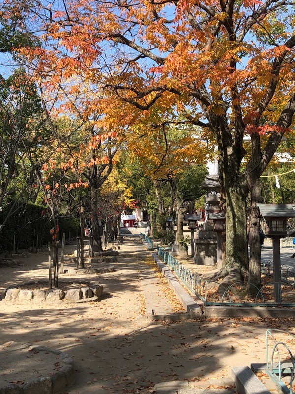 f:id:eo64air:20181202114716j:plain f:id:eo64air:20181202114716j:plain