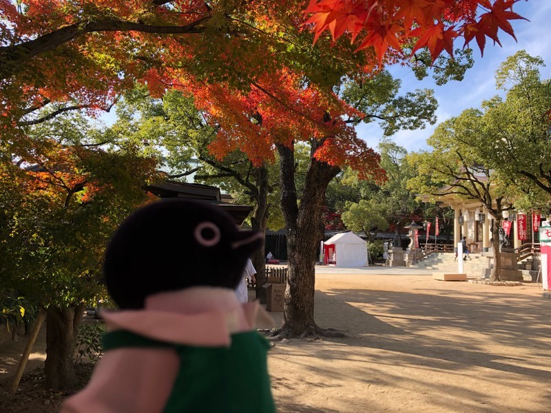 f:id:eo64air:20181202115223j:plain f:id:eo64air:20181202115223j:plain