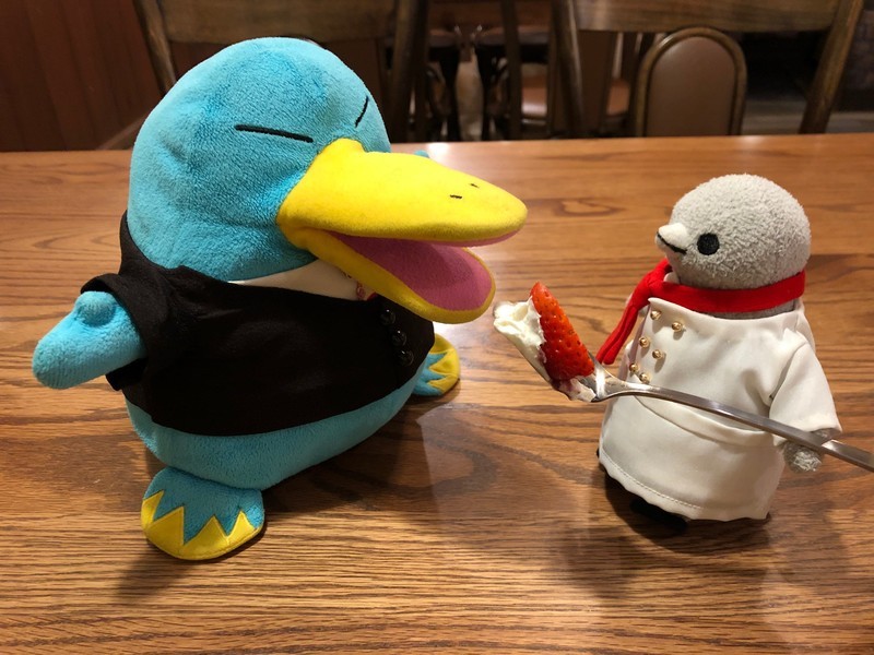 f:id:eo64air:20190122182131j:plain