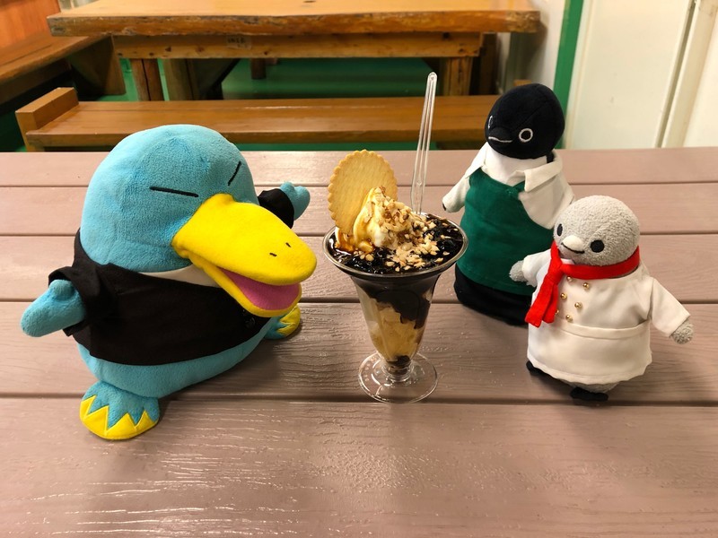 f:id:eo64air:20190211202237j:plain