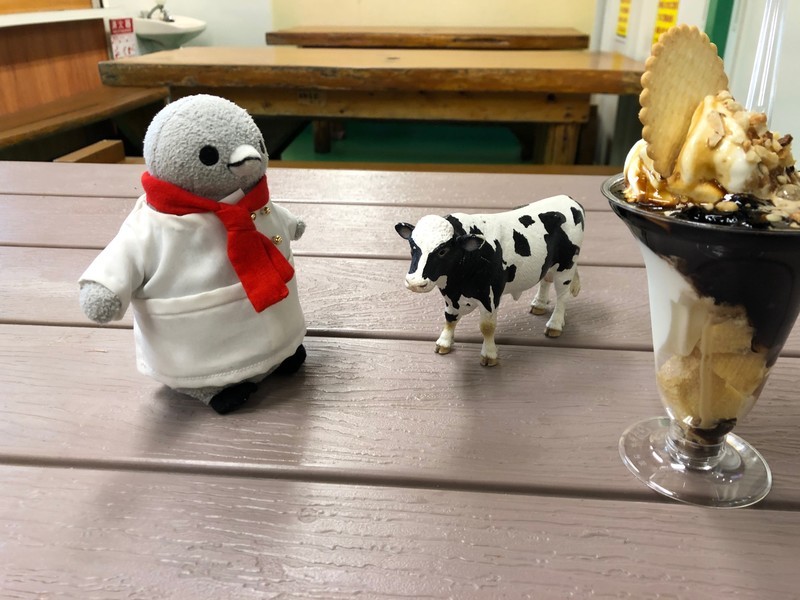 f:id:eo64air:20190211202319j:plain