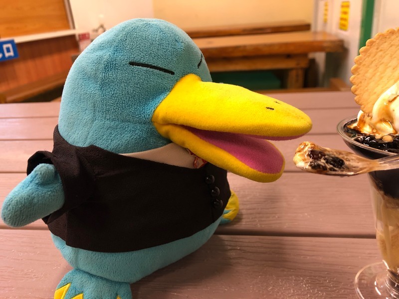 f:id:eo64air:20190211202428j:plain