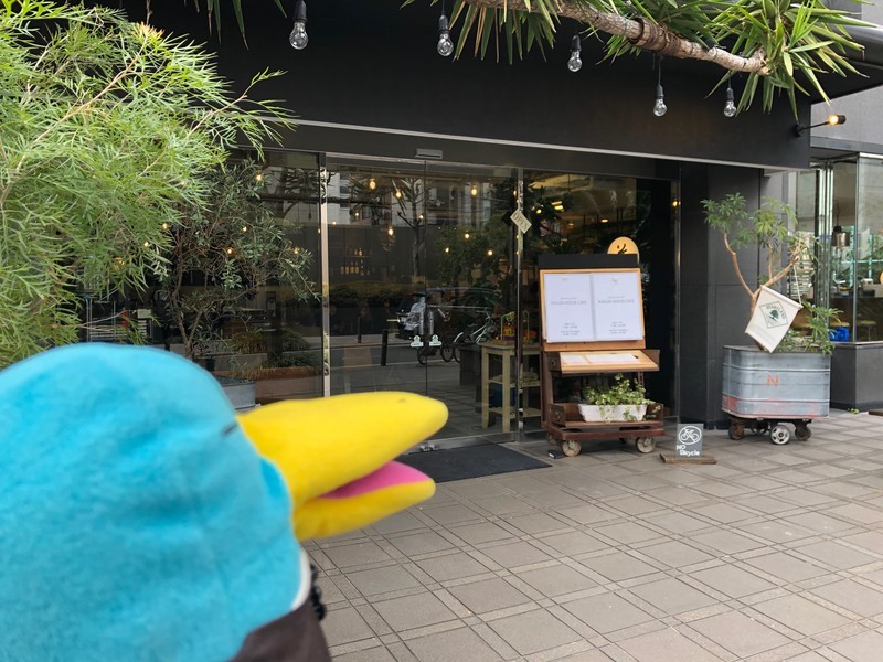 f:id:eo64air:20190217130115j:plain